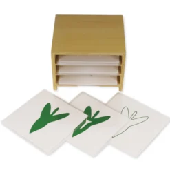 TimeTEX Kasten mit 3 Fächern für die botanischen Karten 