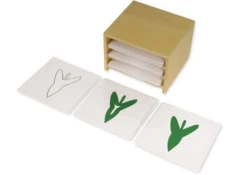 TimeTEX Kasten mit 3 Fächern für die botanischen Karten 