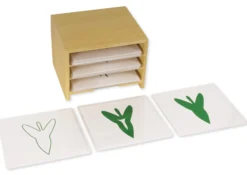 TimeTEX Kasten mit 3 Fächern für die botanischen Karten 