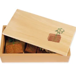 TimeTEX Lebenszyklus Bohnen-Pflanze, in Holzbox "Montessori Premium"