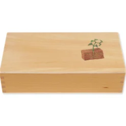 TimeTEX Lebenszyklus Bohnen-Pflanze, in Holzbox 
