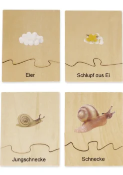 TimeTEX Lebenszyklus einer Schnecke, in Holzbox "Montessori Premium"