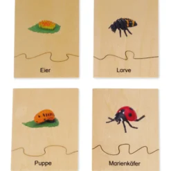 TimeTEX Lebenszyklus eines Marienkäfers, in Holzbox "Montessori Premium"