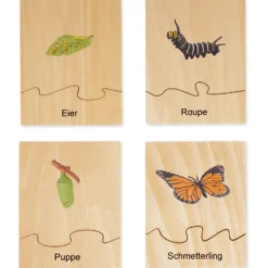 TimeTEX Lebenszyklus eines Schmetterlings, in Holzbox "Montessori Premium"
