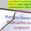 TimeTEX Magnet-Klapp-Rahmen A3 farbig, selbsthaftende Rückseite, 2 Stück