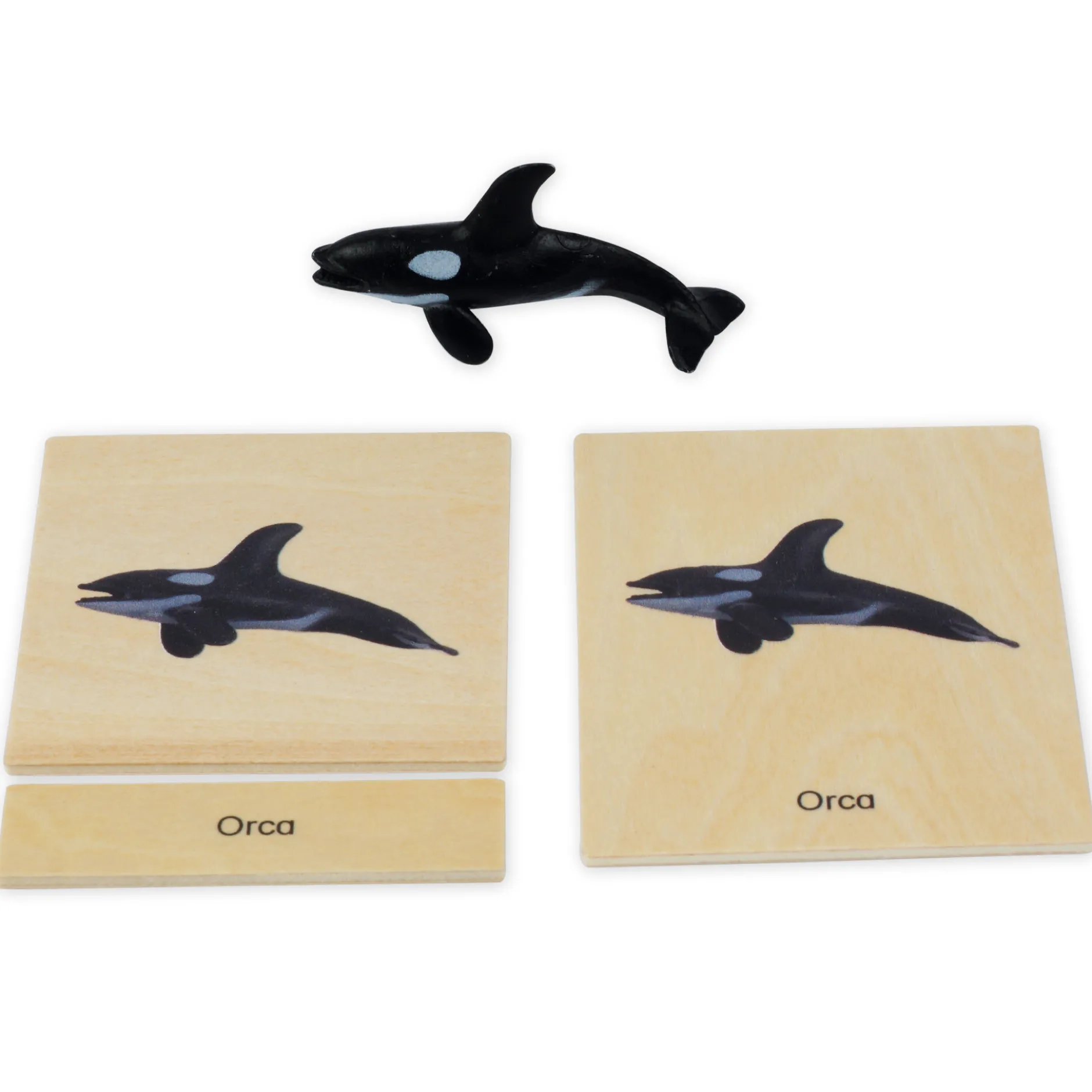 TimeTEX Mini-Polartiere-Set "Montessori Premium"