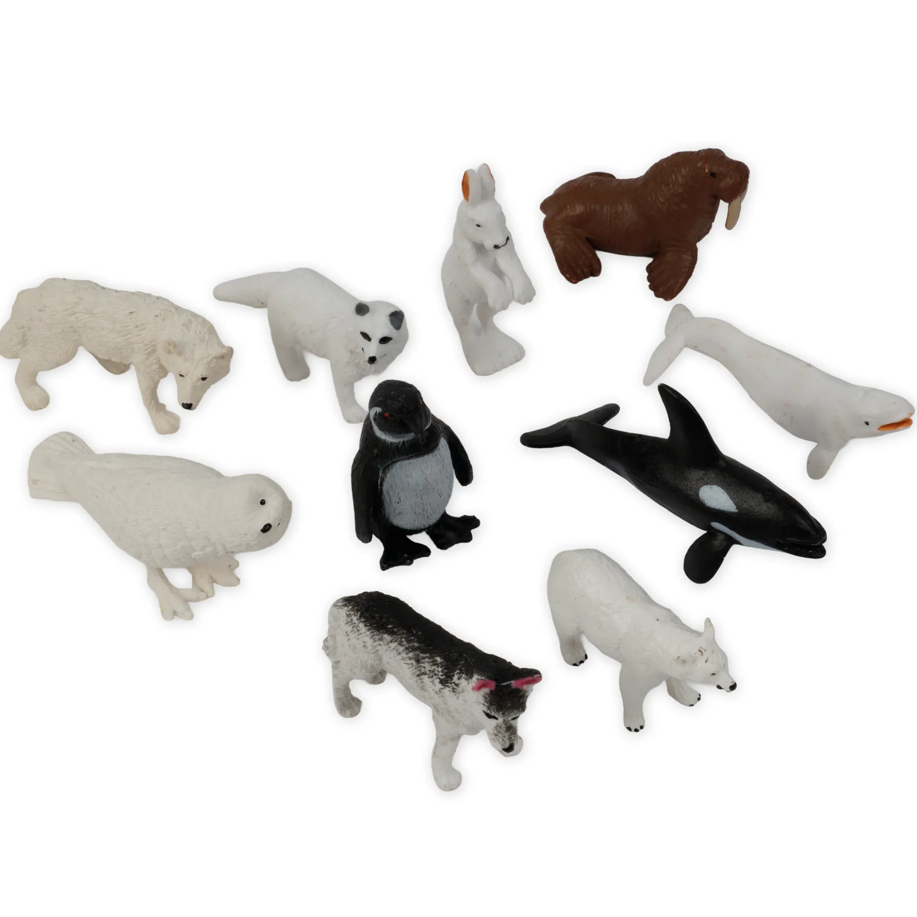 TimeTEX Mini-Polartiere-Set "Montessori Premium"