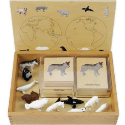 TimeTEX Mini-Polartiere-Set