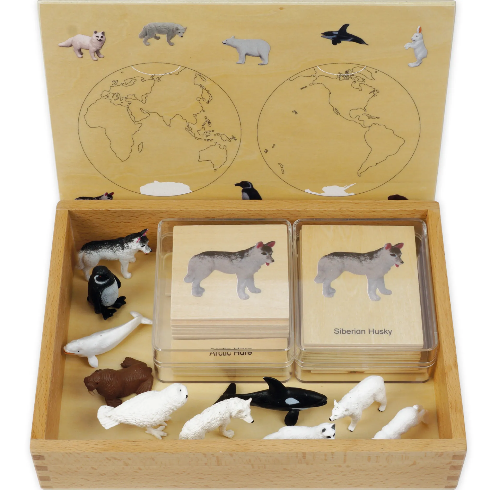 TimeTEX Mini-Polartiere-Set "Montessori Premium"