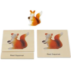 TimeTEX Mini-Tiere-Set Europa "Montessori Premium"