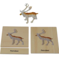 TimeTEX Mini-Tiere-Set Europa "Montessori Premium"