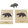 TimeTEX Mini-Tiere-Set Nordamerika "Montessori Premium"