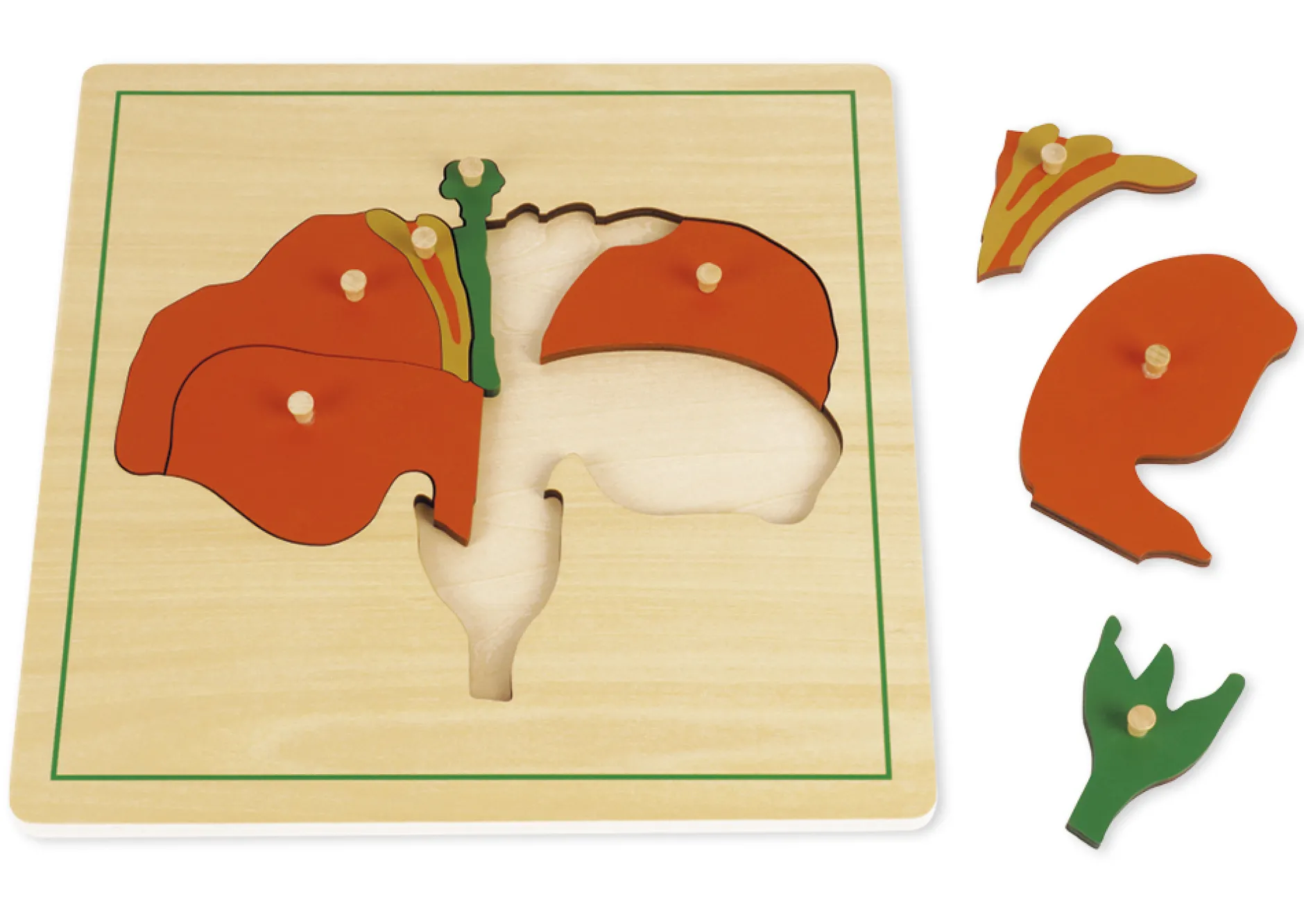 TimeTEX Puzzle Blume "Montessori Premium"