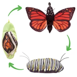 Wendepuppe: Lebenszyklus Schmetterling