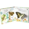 Wie wird die Raupe zum Schmetterling?