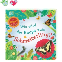 Wie wird die Raupe zum Schmetterling?